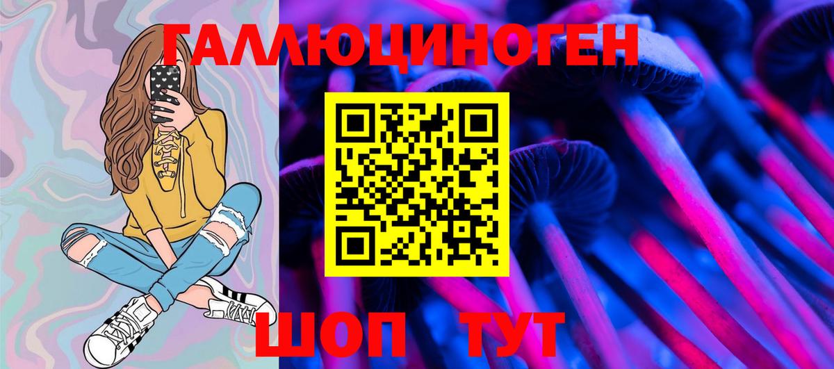 Иркутск  Псилоцибиновые грибы Psilocybine cubensis  Вход с VPN 